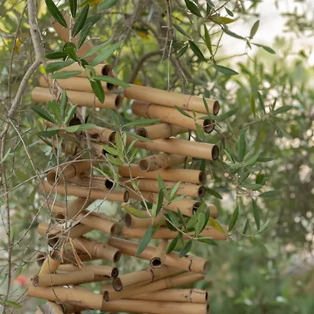 Trullo Scirocco Con Piscina Privata - Pace E Relax A - New 2025 奥斯图尼